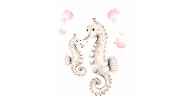 60min Drawing Lesson: Sea Horse Sketch